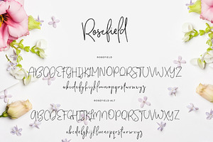 Rosefield Typeface