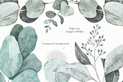 Watercolor eucalyptus clipart, an Illustration by OrangePeafowlArt (Thumbnail 6 of 10)