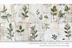 Scripted Botanical Collage Paintings