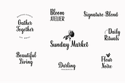 Bonnie Script Pro, a Script Font by Type and Graphics Studio (Thumbnail 17 of 26)
