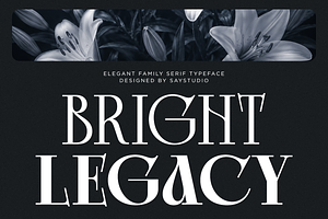 Bright Legacy - Family Luxury Font