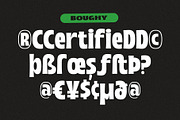 Boughy - Font Family |9 Fonts, a Serif Font by Craft Supply Co. (Thumbnail 11 of 13)