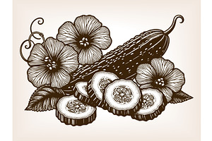 cucumbers with flowers engraving, a Food Illustration by AlexArt