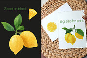 Lemon fruit watercolor clipart, a Decorative Illustration by Anntre (Thumbnail 4 of 4)