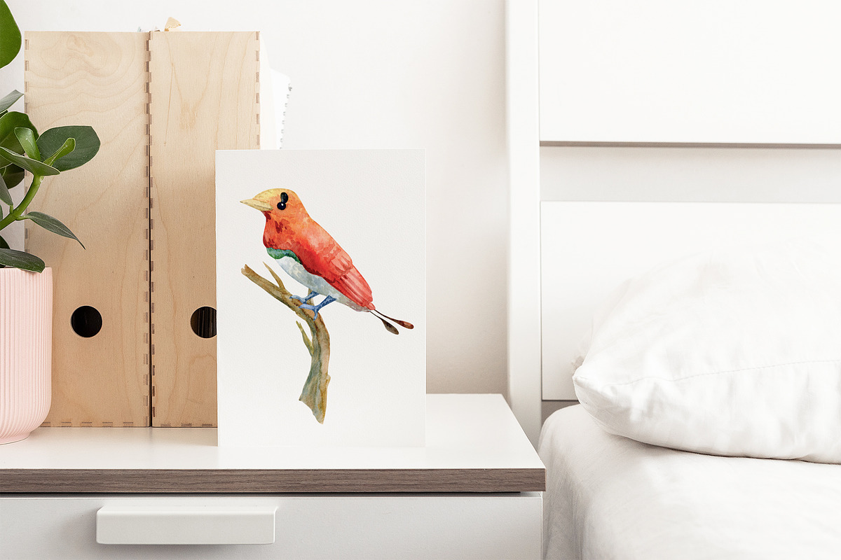 Watercolor Birds Clipart, an Animal Illustration by OllyKo Art (Photo 7 of 7)