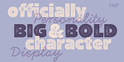 Larrikin, a Sans Serif Font by HeadFirst (Thumbnail 7 of 13)