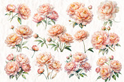 Peach Peony Watercolor Floral, a Decorative Illustration by NatalieArtsDenysenko (Thumbnail 2 of 5)