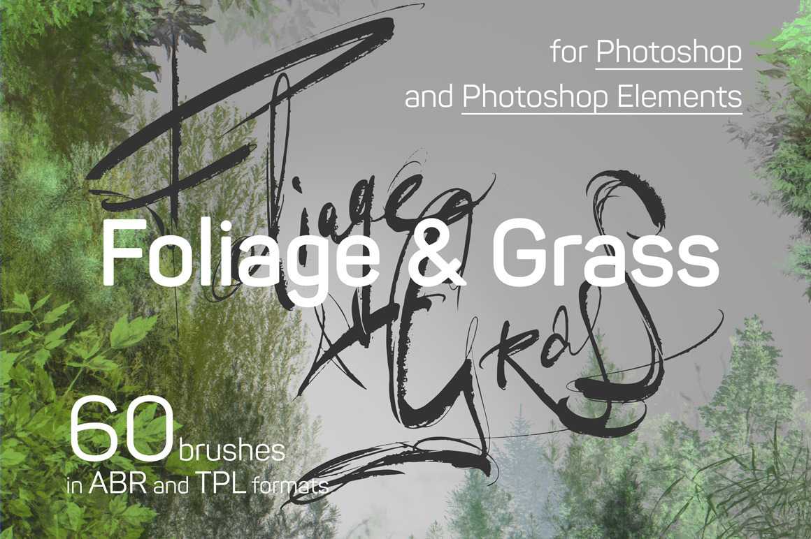 60 Photoshop Foliage & Grass brushes, a Brush Add-On by Eldar Zakirov's (Photo 1 of 8)