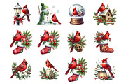 Christmas Red Cardinal Clipart, an Illustration by SinaCreation (Thumbnail 2 of 7)