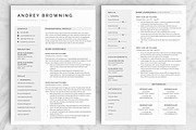 Resume/CV - The Andrey, a Resume Template by CreativeLandStudio (Thumbnail 4 of 8)