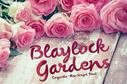 Coquette Script Font, a Script Font by The Thrill of Design (Thumbnail 8 of 8)