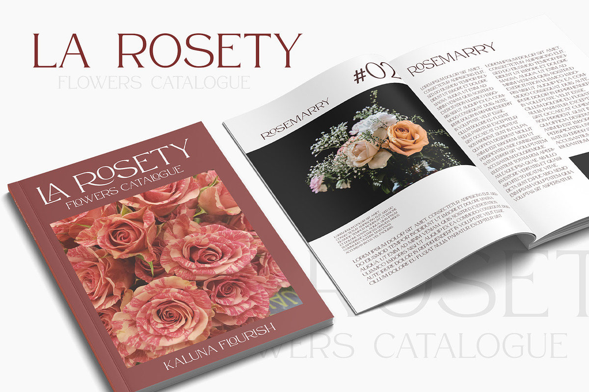 Atteron-Elegant Serif Font, a Serif Font by din-studio.com (Photo 6 of 16)