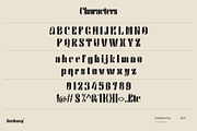 Northway, a Sans Serif Font by Damelev (Thumbnail 14 of 14)