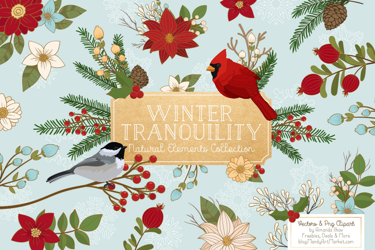 Christmas Birds & Flowers Vectors, an Illustration by Amanda Ilkov (Photo 2 of 5)