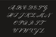 Palominey Wedding Script Font, a Script Font by WhymoreArt (Thumbnail 8 of 10)