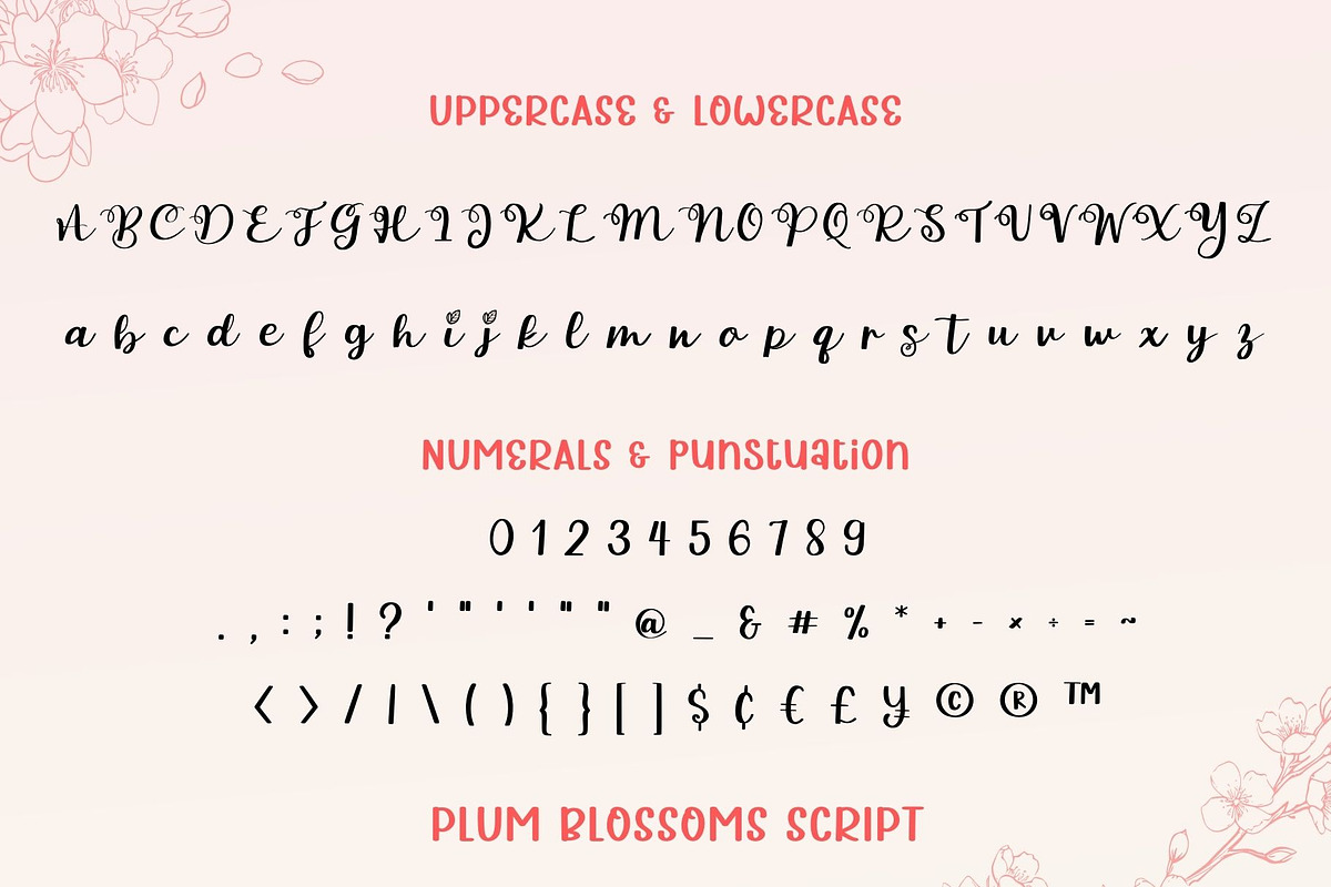 Plum Blossoms Font Duo, a Script Font by AnningArts (Photo 7 of 8)