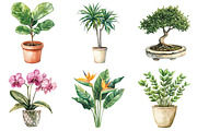 Watercolor Home Plants Clipart, an Illustration by Daily.Designs (Thumbnail 5 of 5)