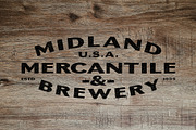 Badge Sans | Vintage Display, a Sans Serif Font by StudioWorks (Thumbnail 8 of 10)