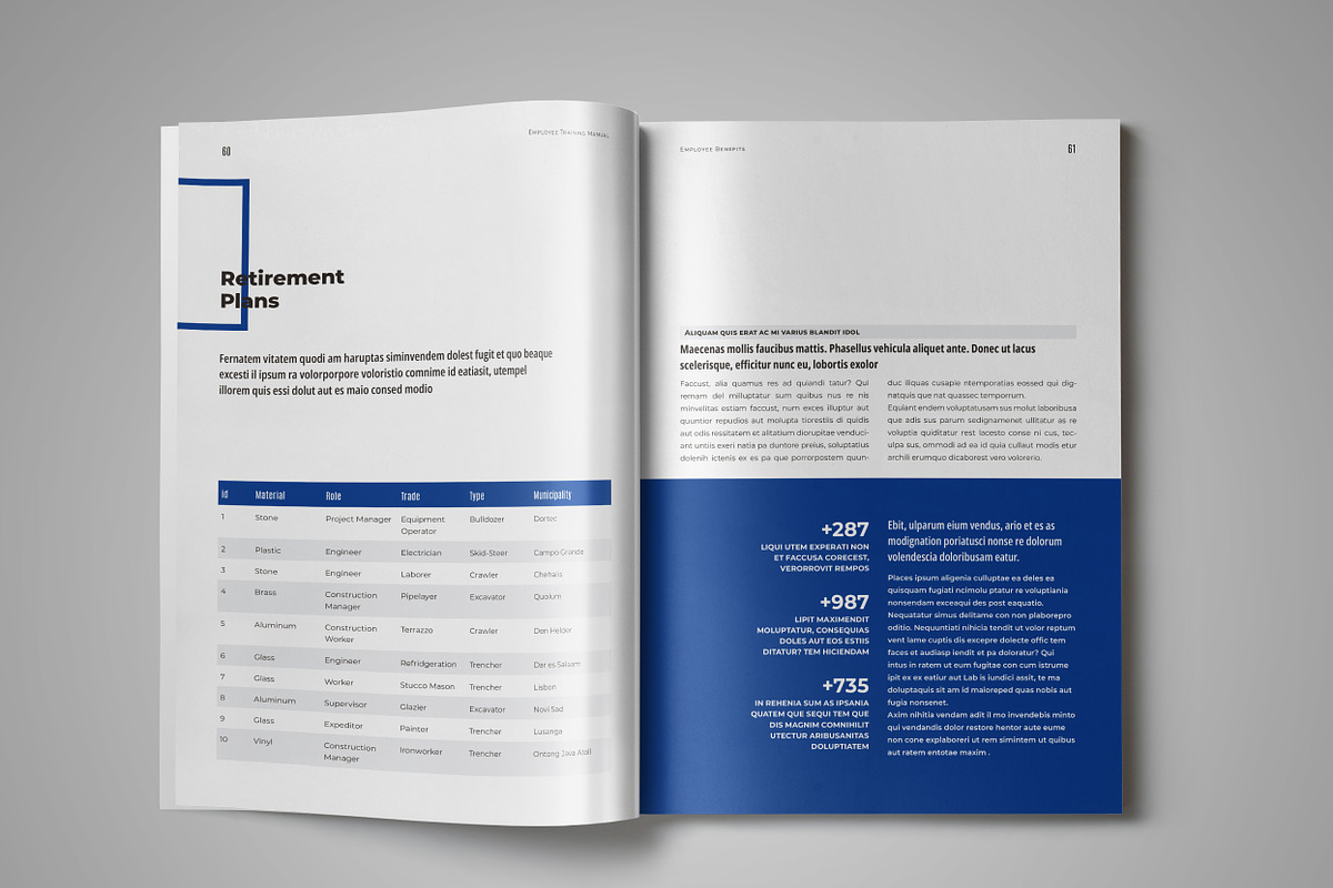 Employee Training Manual Template, a Brochure Template by StockInDesign (Photo 9 of 11)