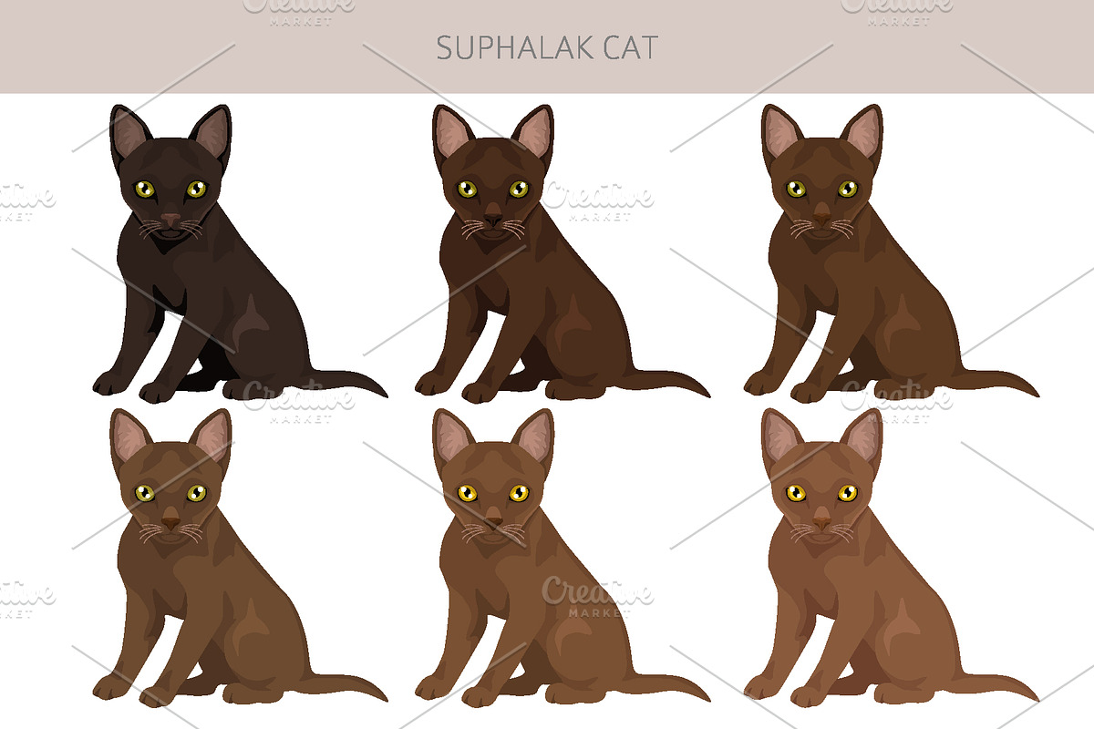 Suphalak cat clipart, an Animal Illustration by pet design shop (Photo 4 of 6)
