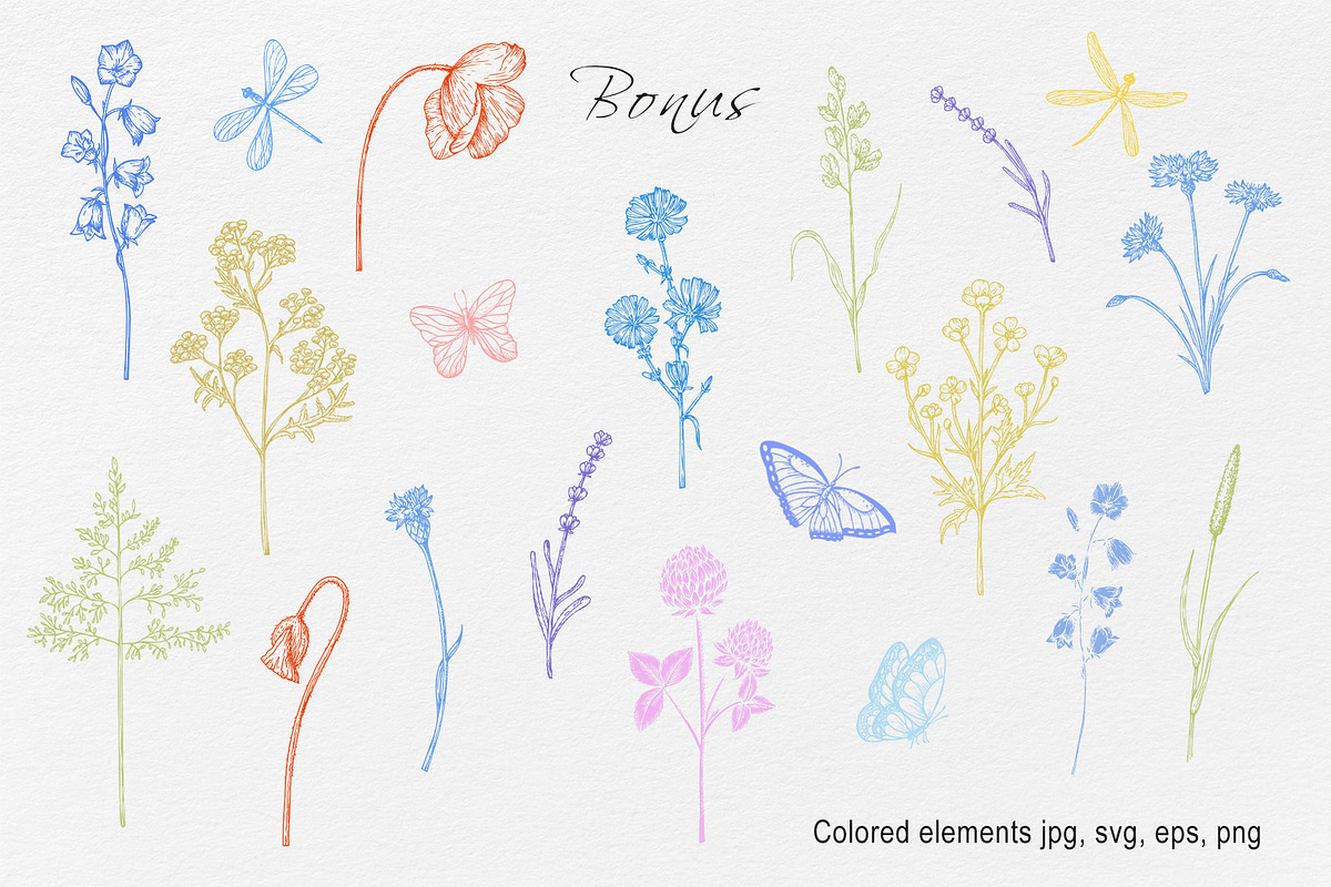 WILDFLOWERS Hand-drawn Line Art, a Seasonal Illustration by Navenzeles (Photo 12 of 13)