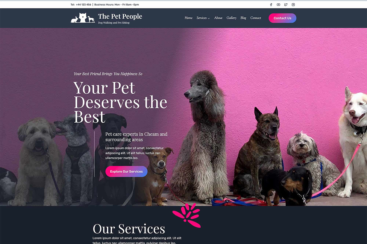 Pet Sitters Happier At Home Dog Walking The Peaks Pet Nanny: Pet