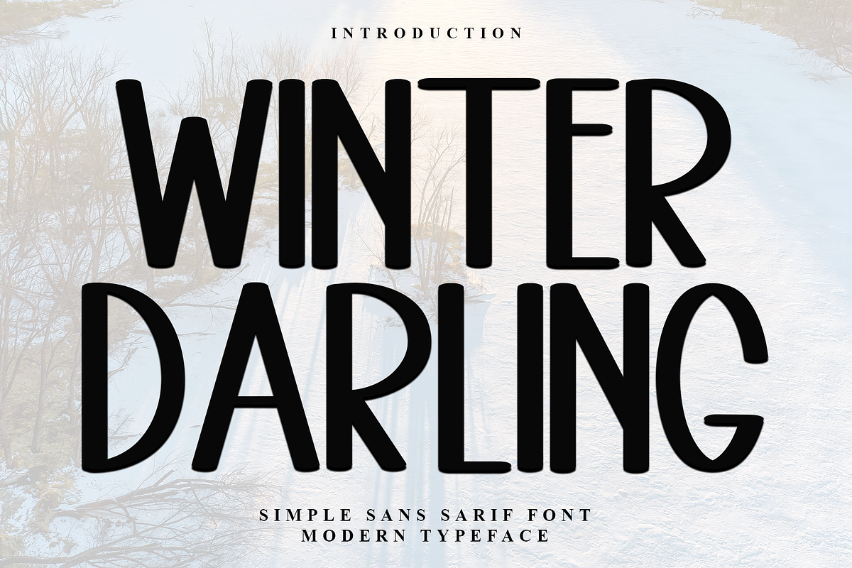 Winter Darling, a Sans Serif Font by InermediaSTUDIO (Photo 5 of 8)