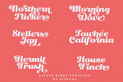 Little Bird Display Script, a Script Font by senzana (Thumbnail 5 of 10)