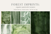 Forest Imprint Botanical backgrounds, a Background Graphic by Yuliya Derbisheva (Thumbnail 9 of 11)