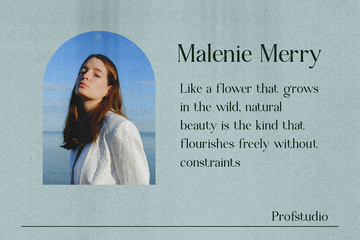 Fernon - Modern Serif Font, a Serif Font by PROF STUDIO (Photo 7 of 7)