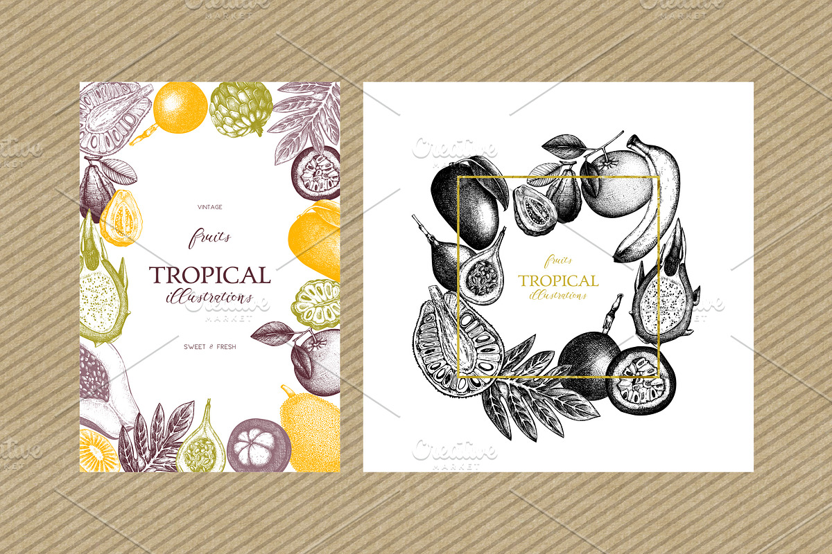 Vintage Tropical Fruit Sketches, a Food Illustration by Yevheniia (Photo 4 of 8)