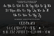 Cristian, a Handwritten Font by FreshTypeINK (Thumbnail 4 of 8)
