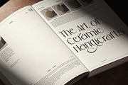 Bostaire Luxury Sans Serif Font, a Sans Serif Font by Heinzel Std (Thumbnail 8 of 15)