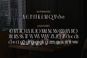 Cavélyne Font, a Serif Font by Graphue (Thumbnail 3 of 9)
