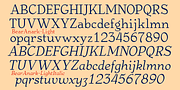 BearAnark, a Serif Font by Ingrimayne Type (Thumbnail 8 of 10)