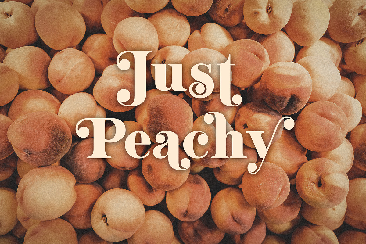 Mighty Aphrodite // A Classy Serif, a Serif Font by Megs Lang (Photo 19 of 22)