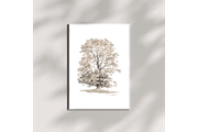 Vintage Tree Sketch Wall Art, a Decorative Illustration by Pink_bloom (Thumbnail 3 of 10)