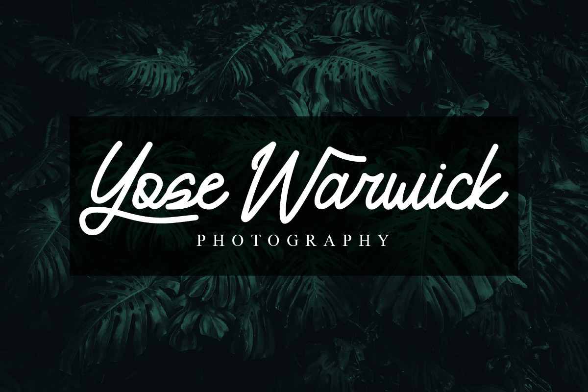 Yamosty - Script Monoline Font, a Script Font by twinstd (Photo 6 of 7)
