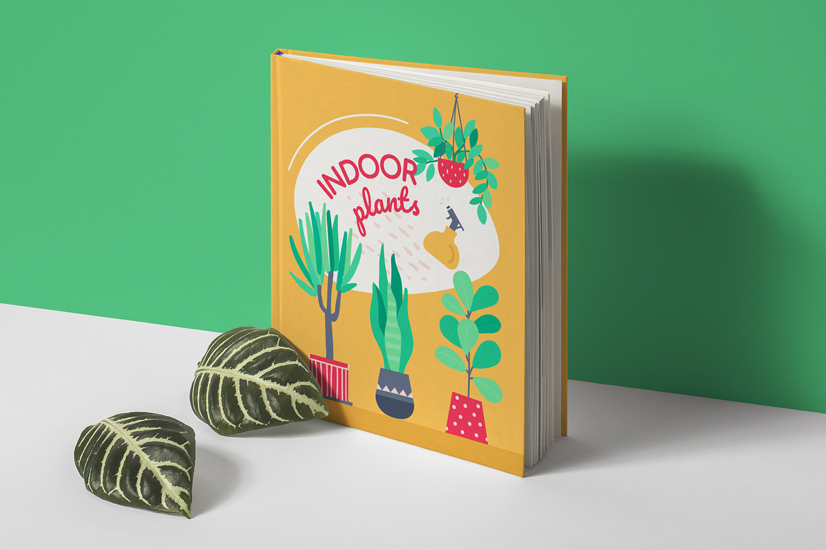 Potted Plants Bundle, a Templates & Theme by Boyko Pictures (Photo 9 of 12)
