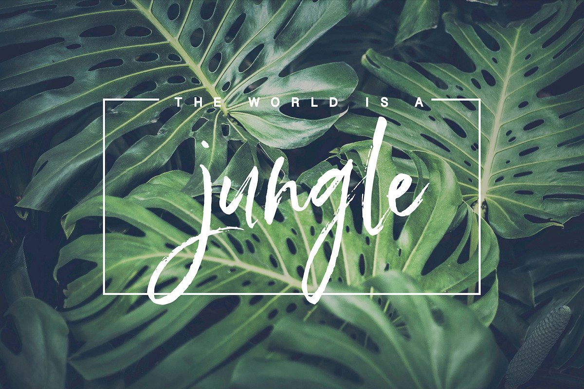 Heartsoul Font, a Script Font by Graphic Box (Photo 13 of 14)