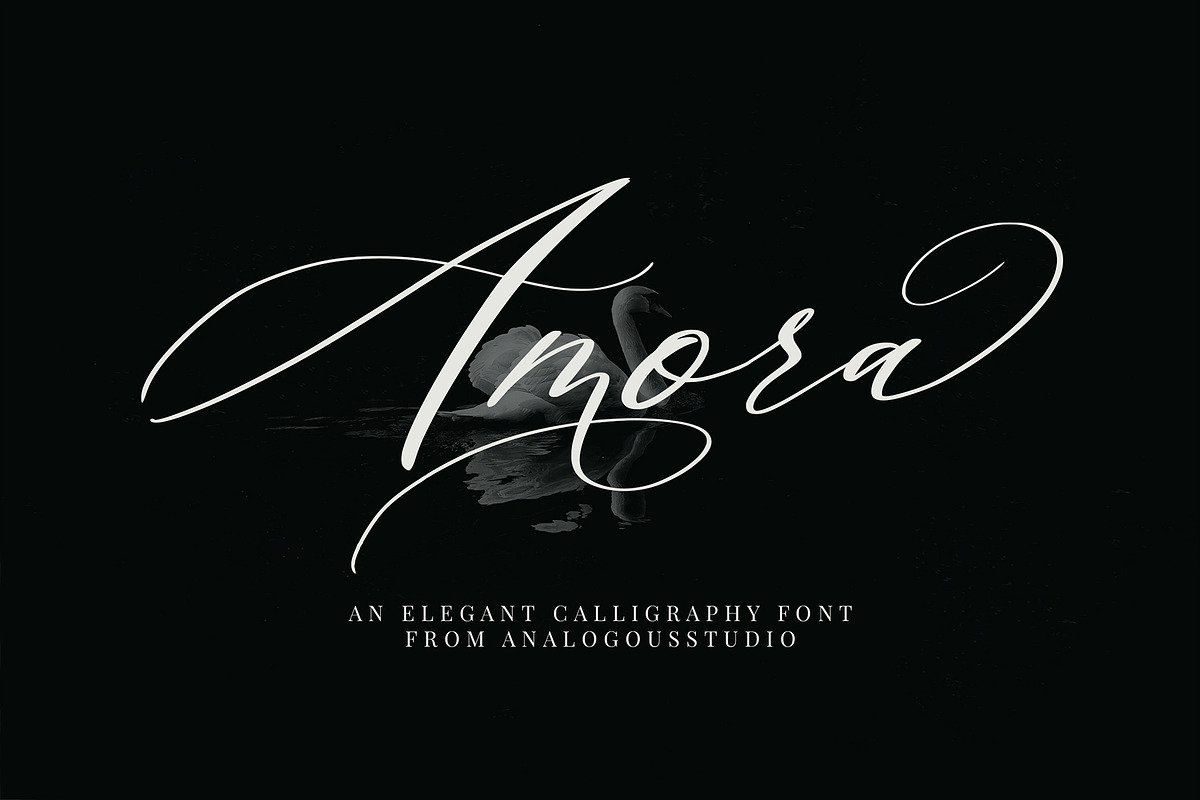 Amora Calligraphy Font, a Script Font by Analogous (Photo 1 of 9)