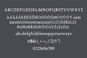 Karoll Modern Serif Font Family, a Serif Font by Creativetacos (Thumbnail 2 of 6)