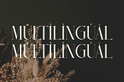 Naumia, a Serif Font by Kenrichi (Thumbnail 6 of 10)