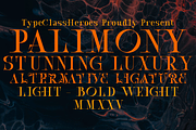 Palimony Luxury Serif, a Font by TypeClassHeroes (Thumbnail 1 of 15)
