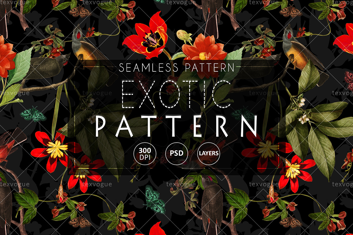 Exotic Pattern - Seamless Patterns, a Pattern Graphic by texvogue (Photo 1 of 14)