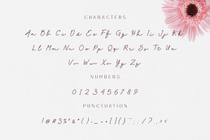 Peonydash - Monoline Script Font