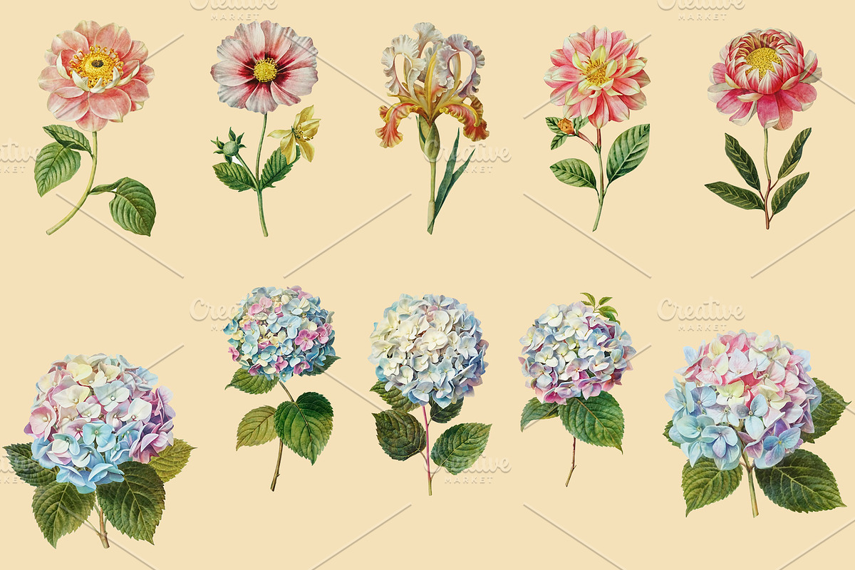 Vintage Flowers Digital Collage Pack, an Illustration by DigitalDesignAI (Photo 7 of 9)