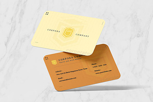 Lemonade Bussines Card