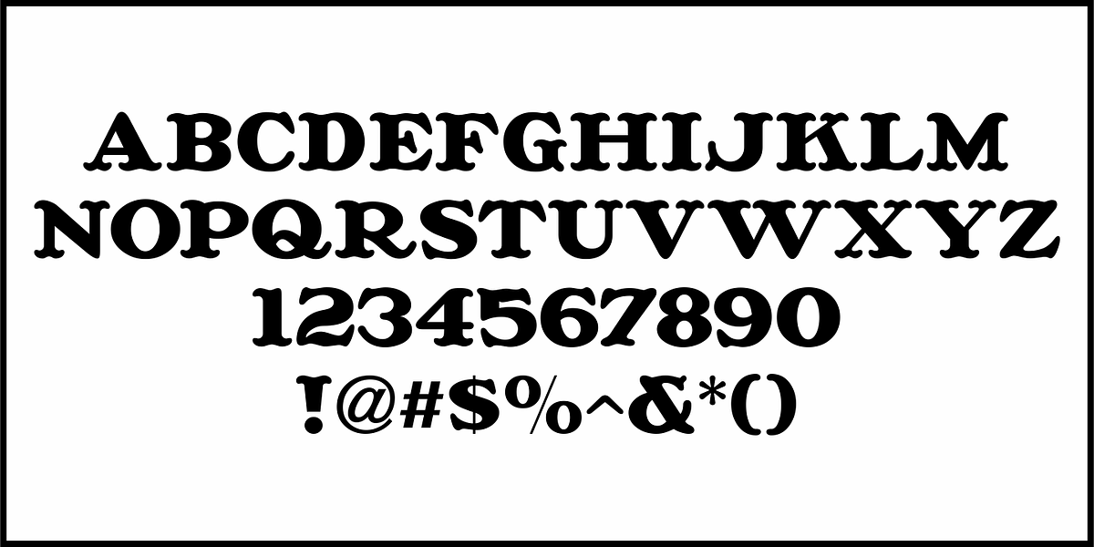 Village Hall JNL, a Font by Jeff Levine Fonts (Photo 3 of 5)