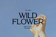 Figure Bold Serif Font, a Serif Font by gafaroff studio (Thumbnail 6 of 6)